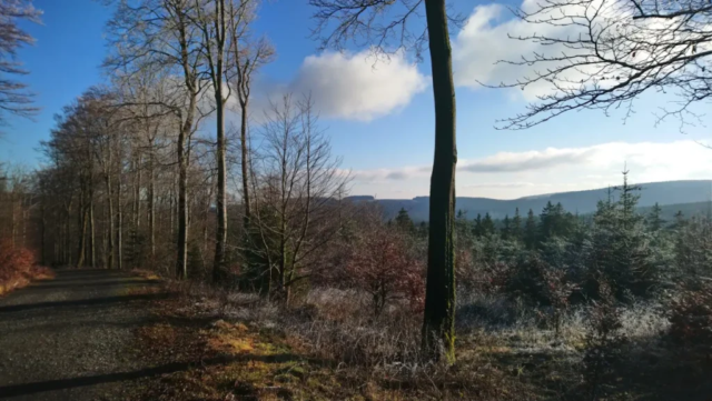 Wanderweg bei Korbach