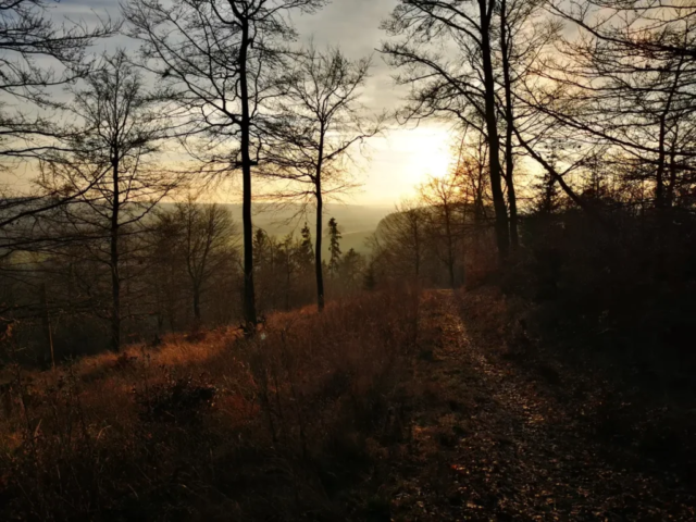 Wanderweg auf dem Homberg bei Korbach