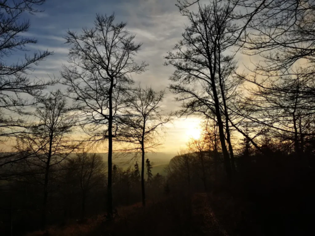 Abendstimmung Homberg