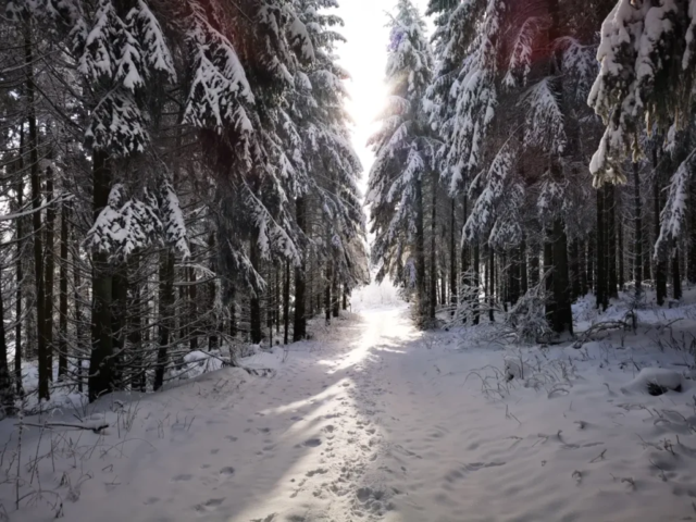 Winderwanderung zur Kalied in Usseln