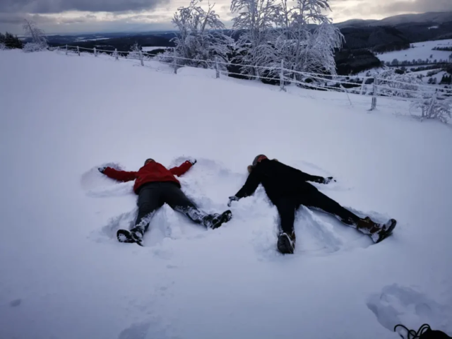 Ab in den Schnee