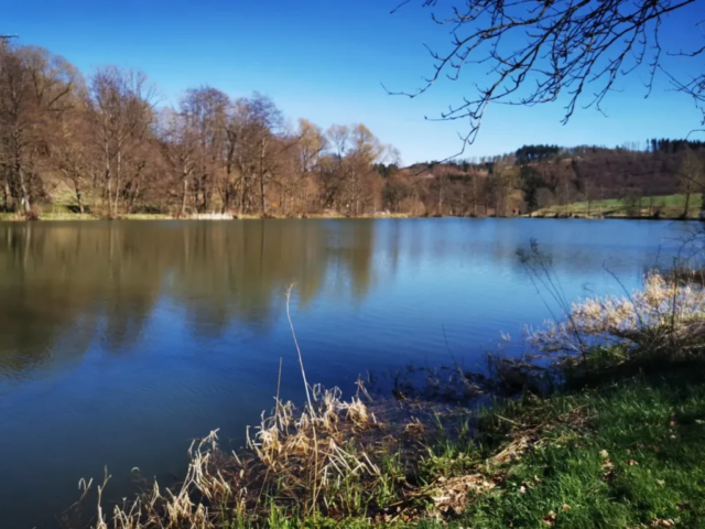 Böhmigerhäuser See